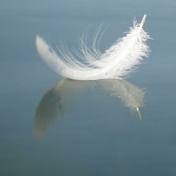 Eileen JACKSON